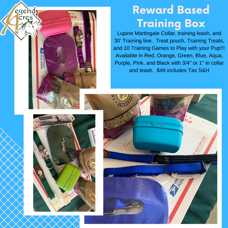 10 Essential DogTraining Supplies Legend Acres